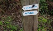 Trail Walking Pecqueuse - 20191019_Tour_des_Fermes_réalisé - Photo 13