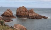 Tocht Stappen Perros-Guirec - ploumanac - Photo 7