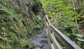 Trail Walking Aywaille -  A la découverte du Ninglinspo 🥾 - Photo 3