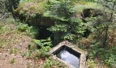 Excursión Senderismo Allarmont - 2019-06-08 Marche Allarmont et ses rochers - Photo 10