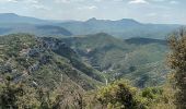 Tour Wandern Ganges - Ranc de Banes-Ganges-13-06-22 - Photo 5