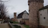 Tocht Stappen Obernai - Obernai - Boersch - Photo 1