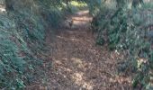 Trail Walking Baud - PR_56_Baud_AA_01_Circuit1b_Des-Landes-De-Kerbraz_20230212 - Photo 4