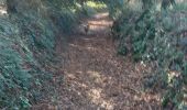Trail Walking Baud - PR_56_Baud_AA_01_Landes-De-Kerbraz_Circuit1b_20230212 - Photo 4