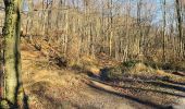 Randonnée Marche Compiègne - en forêt de Compiègne_47_autour des Beaux Monts - Photo 18