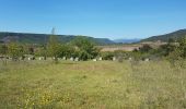 Randonnée Marche Le Bosc - Salelles Mougères Les Combes - Photo 20