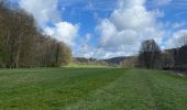 Excursión Senderismo Durbuy - Barbaux -Ourthe - Photo 5