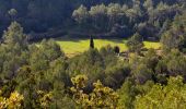 Tour Wandern La Roquebrussanne - 10844300-chapelle st andre ,grotte 400 moutons source oris - Photo 4