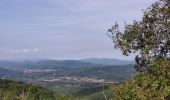 Tour Wandern Pignans - Notre dame des anges - Pignans - Photo 16