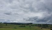 Trail Walking Habay - rando moulin d anlier 31/07/2021 - Photo 4