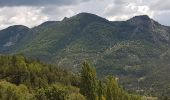 Trail Walking La Motte-Chalancon - LA MOTTE CHALANCON - LE PLATEAU DE LA CHAU - Photo 6