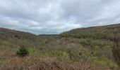 Tour Wandern Vresse-sur-Semois - rando laforêt 9-04-2024 - Photo 10