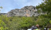 Randonnée Marche Roquestéron - Roquesteron : la cime de la Cacia - Photo 17