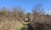 Excursión Senderismo Périgneux - Boucle Marieux-La Gare-Nus - Photo 2