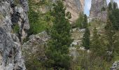 Trail Walking San Vito di Cadore - cinq tours 569m 10.34km - Photo 8