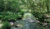 Trail Walking Bièvre - Bellefontaine 250521 - Photo 8