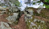 Tocht Stappen Fontainebleau - Fontainebleau Circuit PR Sentier Denecourt 5 - Photo 6