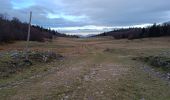 Trail Walking La Chapelle-en-Vercors - Serre Plumé  - Photo 3