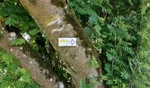 Trail Walking Bastogne - Lutrebois 030622 - Photo 13