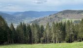 Tocht Stappen Cornimont - Col du Brabant - Roche du Lac via Collet-Masuy - Photo 2