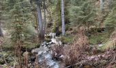 Tour Wandern Gerdsee - Roches de Bruyères et du Page, Gorges du Roitelet - Photo 12