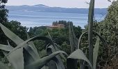 Trail Walking Bolsena - Acquapendente / Montefiascone - Photo 16