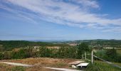 Trail Walking Margès - Boucle De Margès  - Photo 1