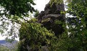 Tocht Stappen Bourbach-le-Haut - Le sentier géologique du Rossberg - Photo 19