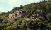 Tour Wandern Pierrefeu-du-Var - SityTrail - Pierrefeu du var - les Baisses - Photo 3