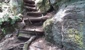 Trail Walking Ottrott - mont st odile - Photo 1