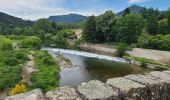 Trail Walking Saint-Étienne-Vallée-Française - Stevenson Pont de Burgen - Saint Jean du Gard - Photo 1