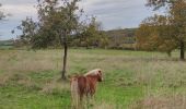 Excursión Senderismo Blegny - A travers les champs de Blegny et ses environs  - Photo 14