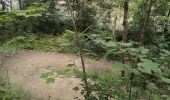 Tour Wandern Vallouise-Pelvoux - Cascade de la Pisse et pont des places - Photo 14