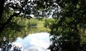 Trail Walking Éguelshardt - Notre Dame des Bois - Photo 2