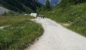 Trail Walking Pralognan-la-Vanoise - Pralognan - Les Prioux - Photo 5