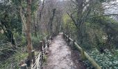 Trail Walking London Borough of Camden - Tavistock Hampstead Heath marble arch 22 km - Photo 5