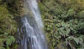 Tour Wandern Santana - Madère : Caldeirao Verde puis Caldeirao do Inferno - Photo 8