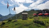 Randonnée Marche Châtel - Boucle Pré  la Joux - Col de Bachassaux - Photo 9