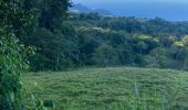 Trail Trail Saint-Claude - Bain jaune  - Photo 1