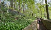 Trail Walking Écaussinnes - Ecaussinne un saut dans le temps - Photo 4