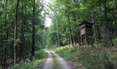 Trail On foot Bad Sooden-Allendorf - Rundweg Nr.6 