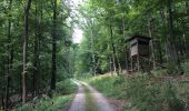 Excursión A pie Bad Sooden-Allendorf - Rundweg Nr.6 