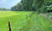 Trail Walking Herne - Herfelingen 16 km - Photo 14