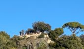 Tocht Stappen Nice - Balade Niçoise : Centre-Ville, Vieux-Nice, Le Port - Photo 11