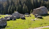 Tocht Stappen Arâches-la-Frasse - Les Carroz l'Arbaron en boucle - Photo 6