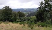 Trail Walking Aydat - Puy de Vichatel depuis la Garandie - Photo 8