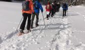 Randonnée Raquettes à neige La Pesse - la Pesse rando raquette neige  - Photo 12