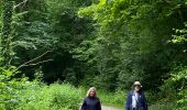 Trail Walking Houyet - Gendron-gare août 2025 - Photo 6