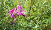 Percorso Marcia Trans-en-Provence - Le vallon du Rousset et le vallon des Prouits - Photo 11