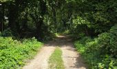 Tour Wandern Maisse - Maisse - Forêt communale de Milly-la-Forêt - Photo 2